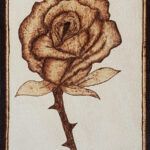 Rose – ca. 15×20 cm