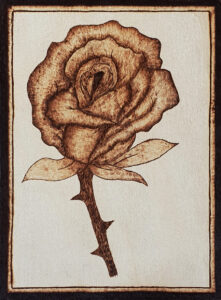 Rose – ca. 15×20 cm