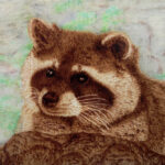 Waschbär – ca. 24×15 cm (Feuerzeichnung + Buntstift)
