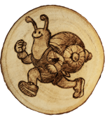 Rennschnecke - ø ca. 9 cm
